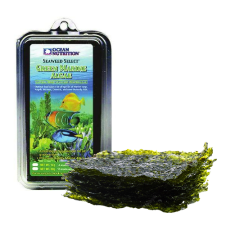 Makro-alge