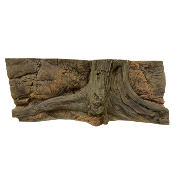 Back To Nature Amazonas 120 cm