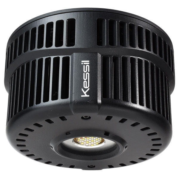 Kessil A500X