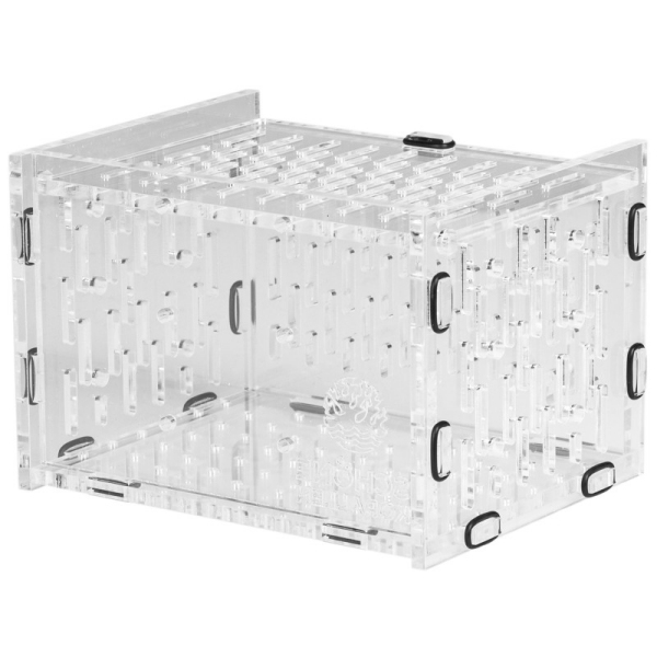 Schöne Korallen Fishbox