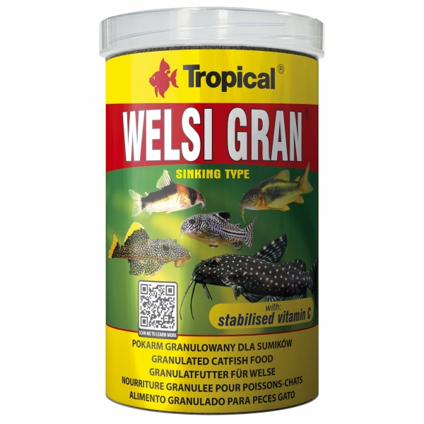 Tropical Welsi Gran