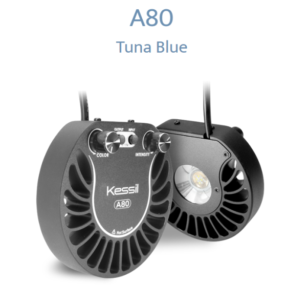 Kessil A80 Tuna