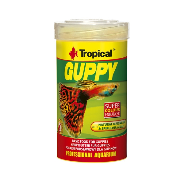 Tropical Guppy