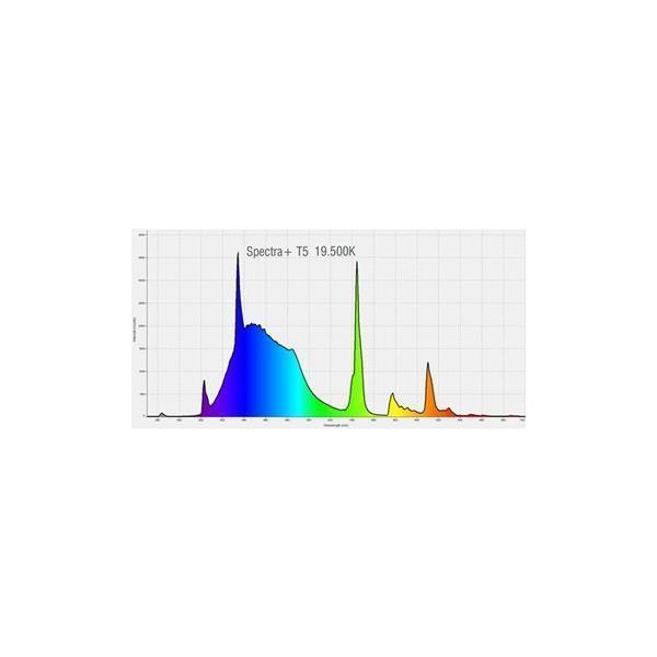 Pacific Sun Spectra +