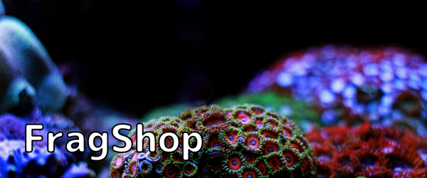 FragShop korale